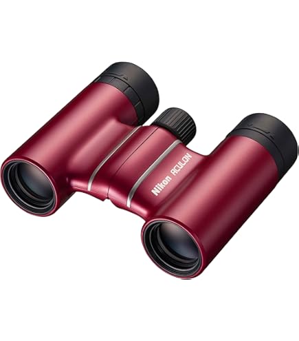 Amazon.com : Nikon ACULON T02 Compact Binoculars - 21mm Objective